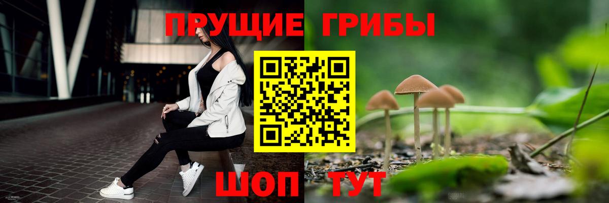 купить  цена  Вход с VPN  Нефтекамск  Галлюциногенные грибы MAGIC MUSHROOMS 